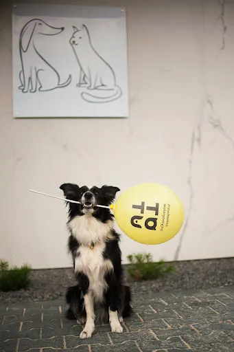 TOTU - Przychodnia Weterynaryjna